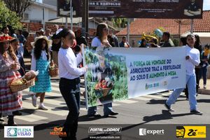 Desfile C&iacute;vico do Anivers&aacute;rio de Cruzeiro do Oeste