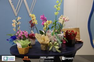 Inaugura&ccedil;&atilde;o da WendCon Cons&oacute;rcios 