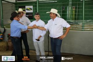 Nelore ABBA realiza 1&ordm; leil&atilde;o com 120 animais genotipados