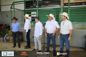 Nelore ABBA realiza 1&ordm; leil&atilde;o com 120 animais genotipados