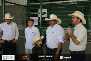 Nelore ABBA realiza 1&ordm; leil&atilde;o com 120 animais genotipados