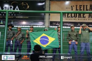 Nelore ABBA realiza 1&ordm; leil&atilde;o com 120 animais genotipados