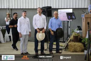 Nelore ABBA realiza 1&ordm; leil&atilde;o com 120 animais genotipados