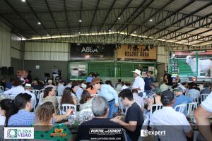 Nelore ABBA realiza 1&ordm; leil&atilde;o com 120 animais genotipados