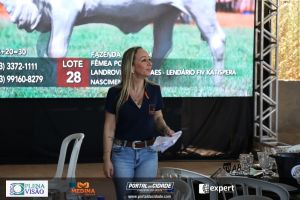 Nelore ABBA realiza 1&ordm; leil&atilde;o com 120 animais genotipados