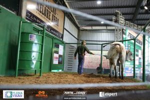 Nelore ABBA realiza 1&ordm; leil&atilde;o com 120 animais genotipados