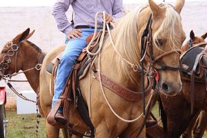 Cavalgada da Independ&ecirc;ncia - Domingo