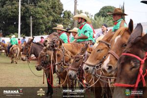 Cavalgada da Independ&ecirc;ncia - Domingo