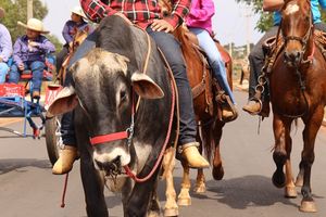 Cavalgada da Independ&ecirc;ncia - Domingo