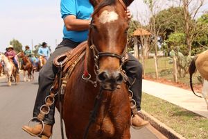 Cavalgada da Independ&ecirc;ncia - Domingo