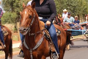 Cavalgada da Independ&ecirc;ncia - Domingo