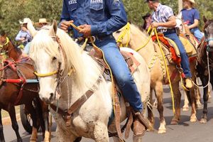 Cavalgada da Independ&ecirc;ncia - Domingo