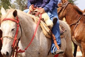 Cavalgada da Independ&ecirc;ncia - Domingo