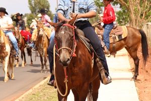 Cavalgada da Independ&ecirc;ncia - Domingo