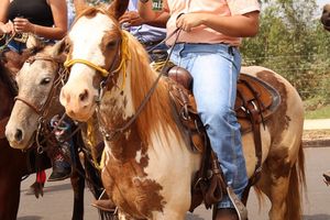 Cavalgada da Independ&ecirc;ncia - Domingo