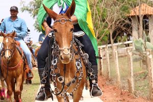 Cavalgada da Independ&ecirc;ncia - Domingo