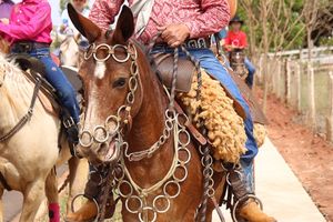 Cavalgada da Independ&ecirc;ncia - Domingo