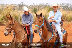 Cavalgada da Independ&ecirc;ncia - Domingo