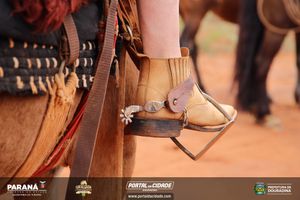 Cavalgada da Independ&ecirc;ncia - Domingo
