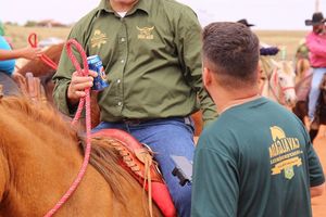 Cavalgada da Independ&ecirc;ncia - Domingo