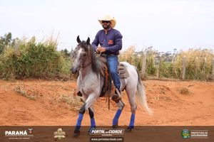 Cavalgada da Independ&ecirc;ncia - Domingo