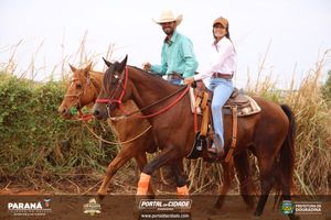 Cavalgada da Independ&ecirc;ncia - Domingo
