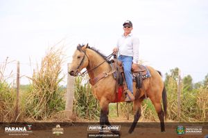 Cavalgada da Independ&ecirc;ncia - Domingo
