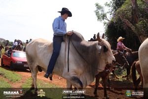 Cavalgada da Independ&ecirc;ncia - Domingo