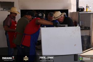 Cavalgada da Independ&ecirc;ncia - Domingo