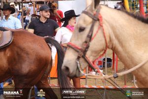 Cavalgada da Independ&ecirc;ncia - Domingo