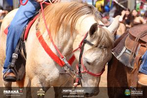 Cavalgada da Independ&ecirc;ncia - Domingo