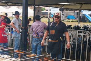 Cavalgada da Independ&ecirc;ncia - Domingo