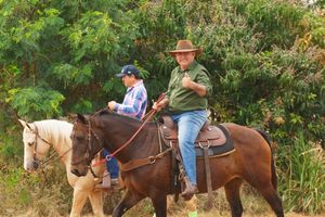 Cavalgada da Independ&ecirc;ncia - Domingo