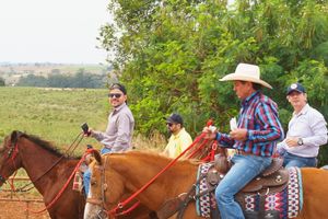 Cavalgada da Independ&ecirc;ncia - Domingo