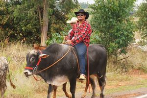 Cavalgada da Independ&ecirc;ncia - Domingo