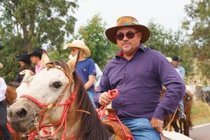 Cavalgada da Independ&ecirc;ncia - Domingo