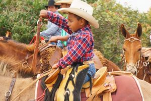 Cavalgada da Independ&ecirc;ncia - Domingo