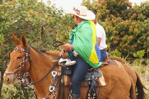 Cavalgada da Independ&ecirc;ncia - Domingo