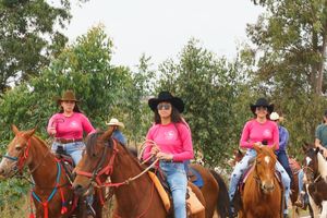 Cavalgada da Independ&ecirc;ncia - Domingo