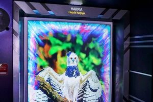 Expo Douradina - CountryBeat e Jiraya Uai