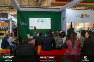 Gramado Summit 2026