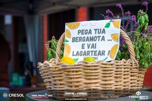 8&ordm; Igrejinha Mix (Domingo)
