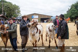8&ordm; Igrejinha Mix (Domingo)