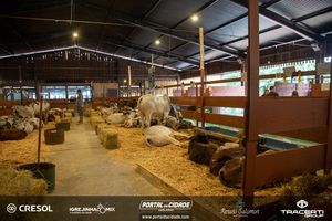 8&ordm; Igrejinha Mix (Domingo)