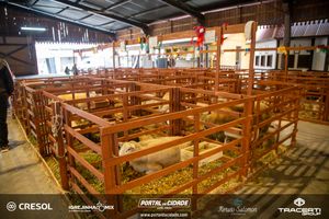 8&ordm; Igrejinha Mix (Domingo)