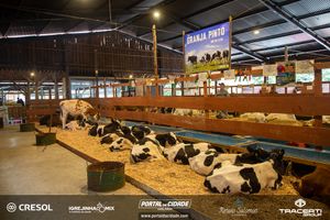 8&ordm; Igrejinha Mix (Domingo)
