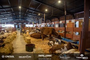 8&ordm; Igrejinha Mix (Domingo)