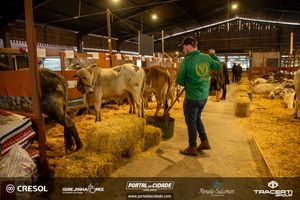 8&ordm; Igrejinha Mix (Domingo)