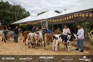8&ordm; Igrejinha Mix (Domingo)