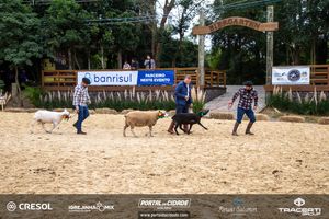 8&ordm; Igrejinha Mix (Domingo)